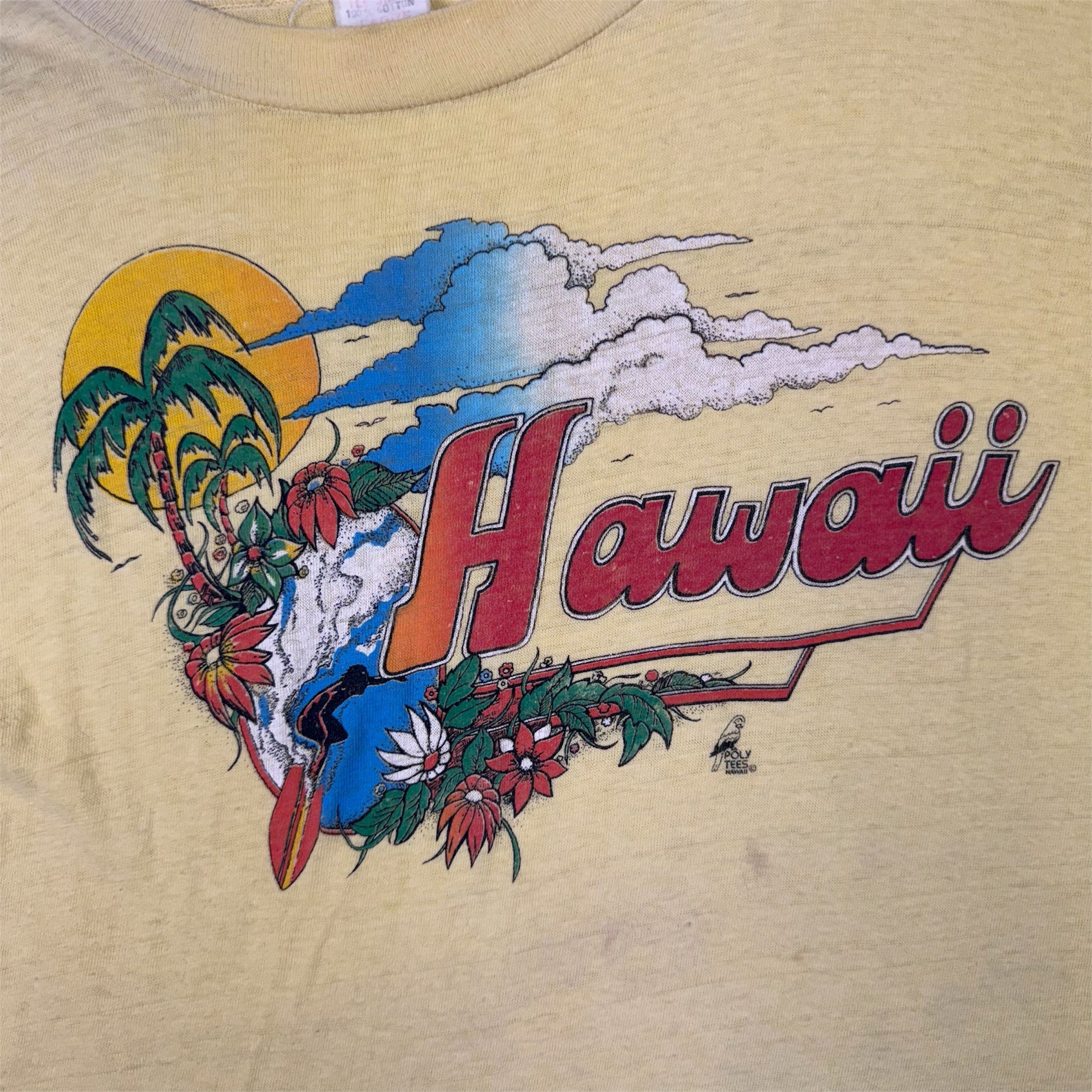 Vintage 70's Hawaii Poly Tees Rainbow Surfer Graphic Single Stitch T-shirt  Ultra Rare | Bring It Back