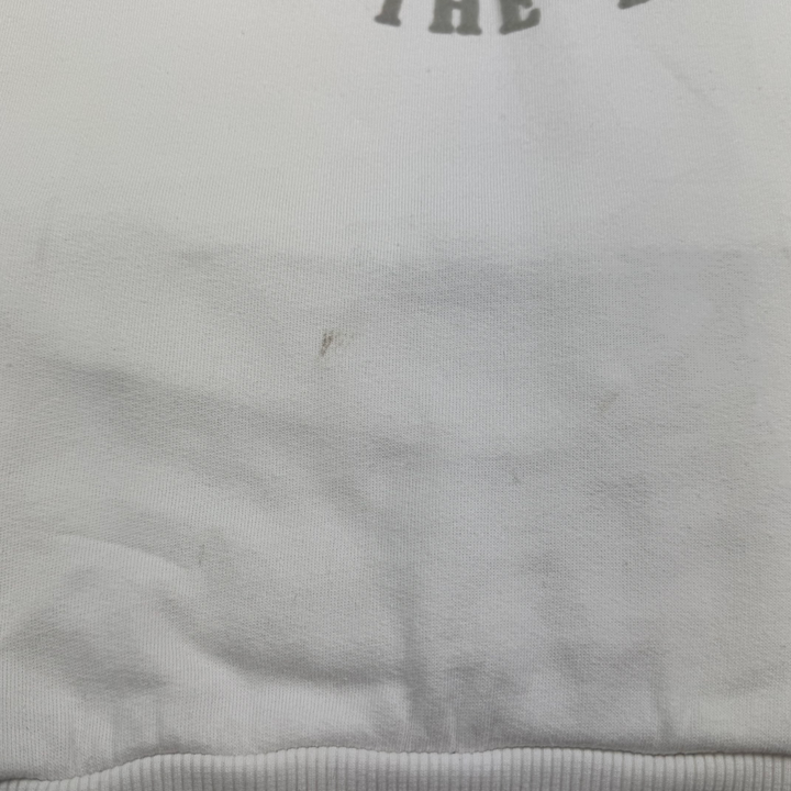 Diesel Only The Brave Graphic Pullover Hoodie White